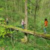 05 Aktion Mai 23 - Kapfenburgführung